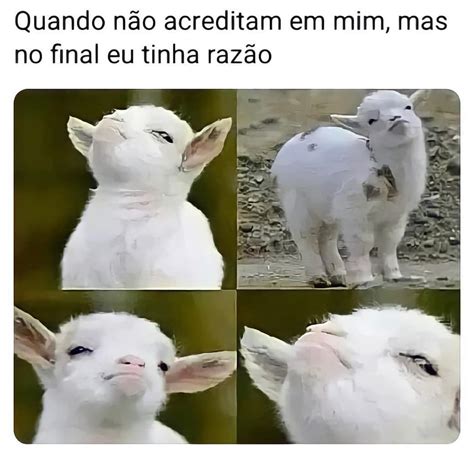 Quando N O Acreditam Em Mim Mas No Final Eu Tinha Raz O Memes