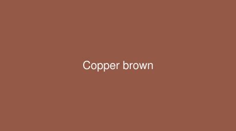 RAL Copper brown [RAL 8004] Color in RAL Classic chart