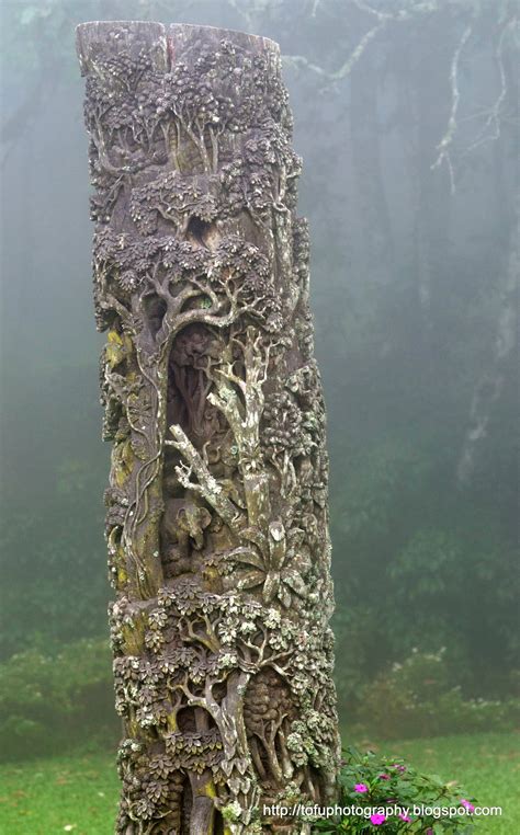 Tofu Photography: Tree trunk carving