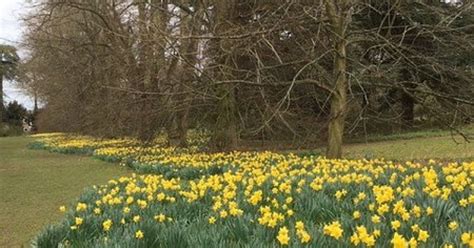 Walk And Talk With Geoffrey At Nowton Park Bury St Edmunds