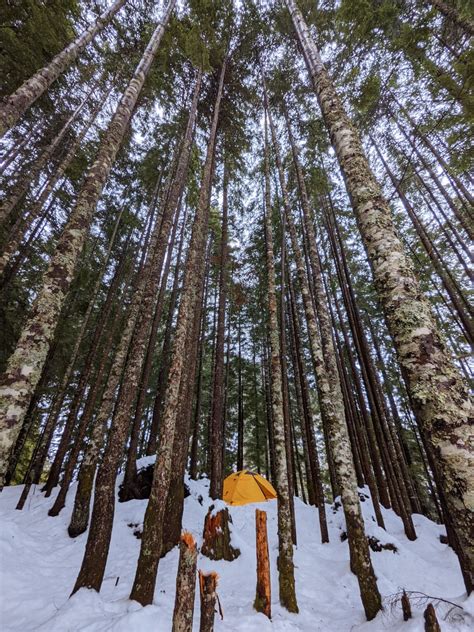 Winter Camping in the Fraser Valley, BC, Canada. My first time posting ...