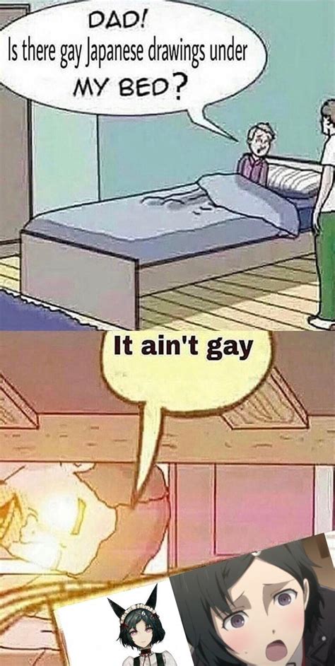 It Aint Gay R Steinsgate