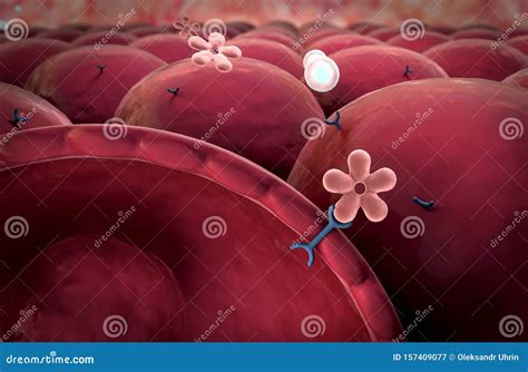 Insulin Mechanism Explanation With Medical Process Steps Outline