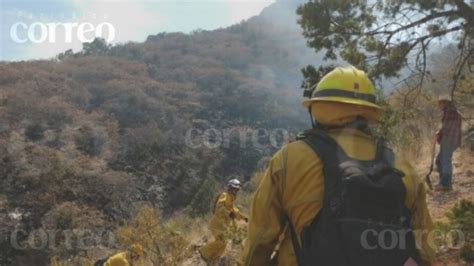 Ya está controlado el 90 del incendio forestal del cerro del Águila en