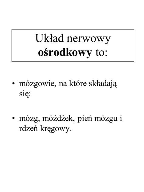 Układ nerwowy ppt pobierz