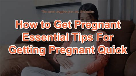 How To Get Pregnant Essential Tips For Getting Pregnant Quick