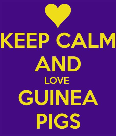 Pig Love Quotes. QuotesGram