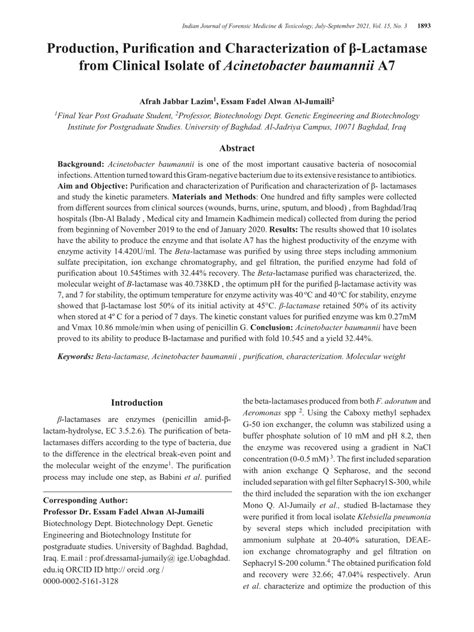 PDF Production Purification and Characterization of β Lactamase from