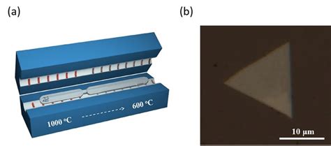 A A Schematic For The Set Up Of Cvt Growth Of Rese Flakes The End