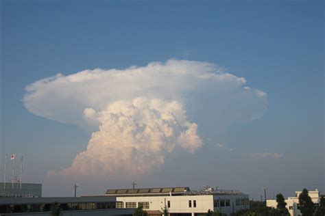 積乱雲の検索結果 Yahooきっず検索