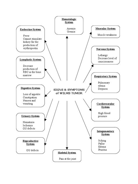 Wilms Tumor Signs & Symptoms by System | Anatomy | Medical Specialties