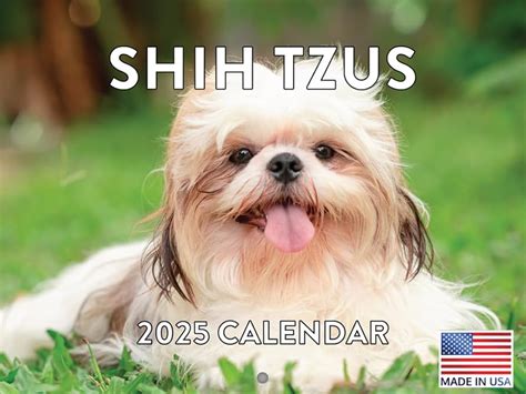 Shih Tzu Calendar 2025 Sybil Euphemia