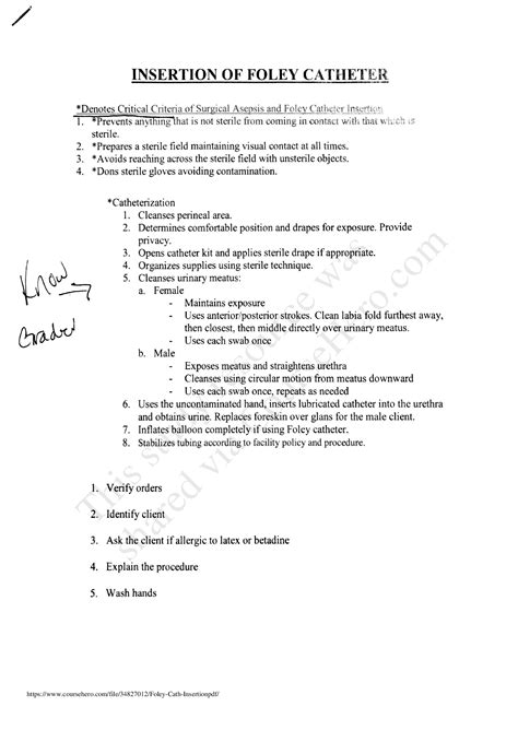 Nursing Insertion Of Foley Catheter Browsegrades