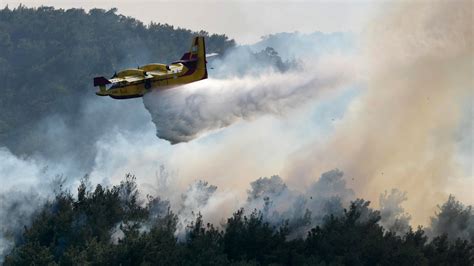 Greece Wildfires Result In Dozens Of Arson Arrests The New York Times