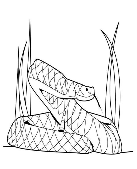 The Boa Constrictor Coloring Page Free And Online Coloring