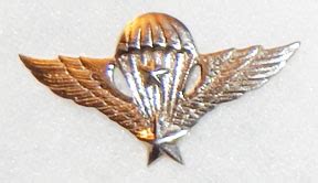 Vietnam Era Metal Insignia Arvn Army Pattern