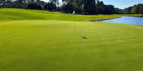 TPC Myrtle Beach - Golf in Murrells Inlet, South Carolina