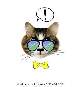 Portrait Cat Glasses Bow Tie Vector Shutterstock