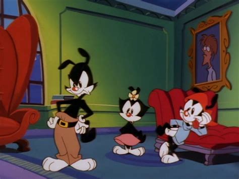 Animaniacs Characters Cartoon Characters Fictional Characters 80s