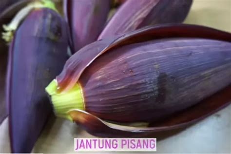 Manfaat Jantung Pisang Buah Ungu Untuk Kesehatan Timenews