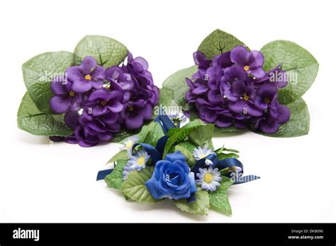 Rose flower arrangement with violet Stock Photo - Alamy