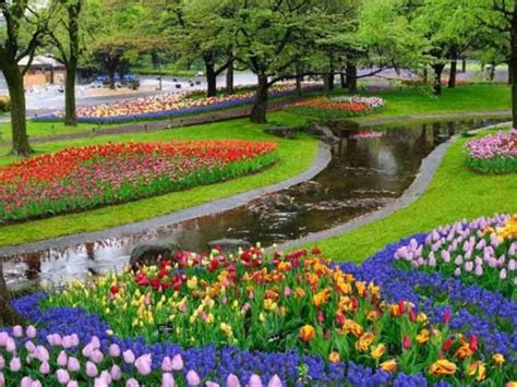 Kampoeng Tulip Wisata Taman Bunga Ala Belanda Di Bandung Tagar