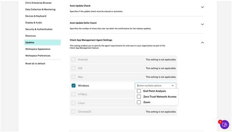 Windows Citrix Workspace