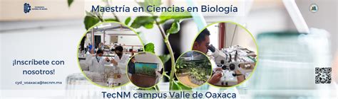 Instituto Tecnol Gico Del Valle De Oaxaca Tecnm I T Del Valle De