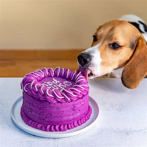 Milk Bar Dog Birthday Cake Recipe: A Paw-some Treat