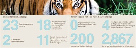 Tiger Conservation Campaign 2021 Annual Report - Phoenix Zoo