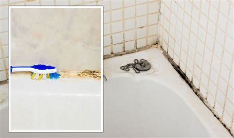 How To Remove Mould From Grout And Sealant Natural Methods To Banish