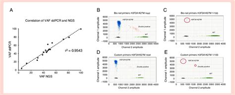 Ddpcr Assay Validation A Correlation Of Variant Allele Frequencies