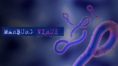 Marburg Virus Marv 3d Illustration With Text An Infectious Disease