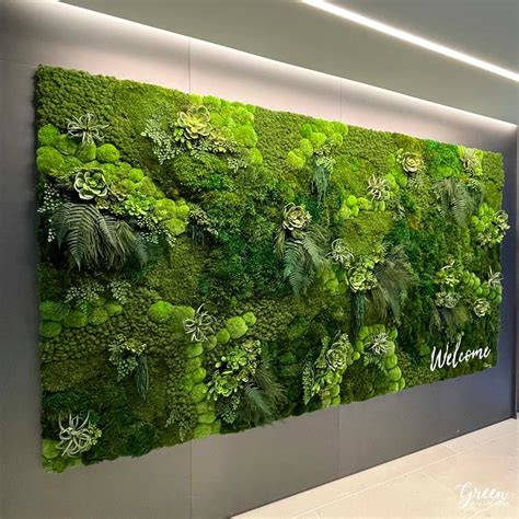 No Maintenance Moss And Succulent Wall Custom Amazonia Wall Green