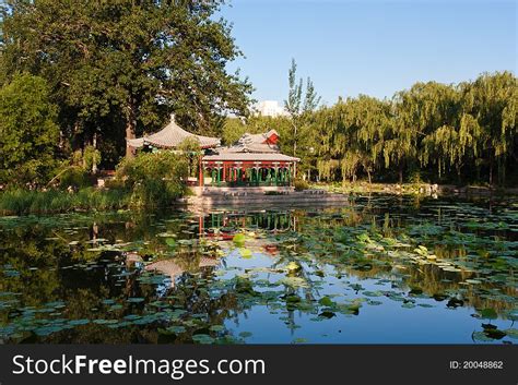 670+ Green roof garden Free Stock Photos - StockFreeImages