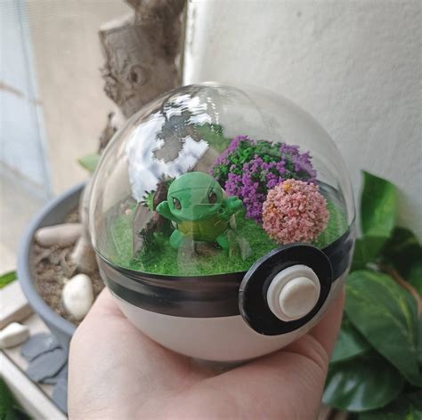 Terrariumdiorama Squirtle In Its Decorative Pokéball Etsy