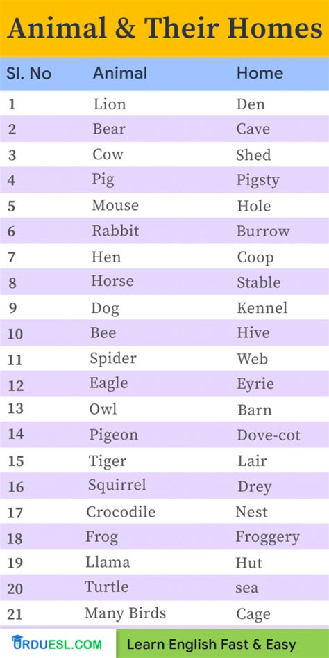 Homes of Animals with Names and Pictures - Download pdf