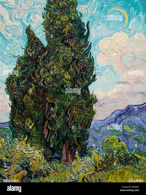 Cipressi Vincent Van Gogh Metropolitan Museum Of Art Manhattan