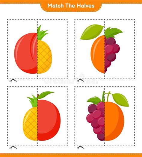 Igualar Las Mitades Igualar Mitades De Frutos Ilustración Vectorial