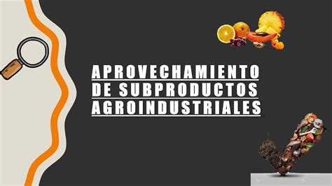 Aprovechamiento De Subproductos Agroindustriales YouTube