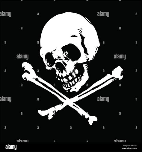 Vector Illustration Of A Skull Stock Vector Image And Art Alamy