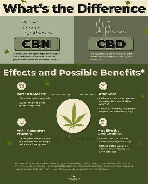 The Ultimate Guide To Cbn Vs Cbd True North Cannabis Co