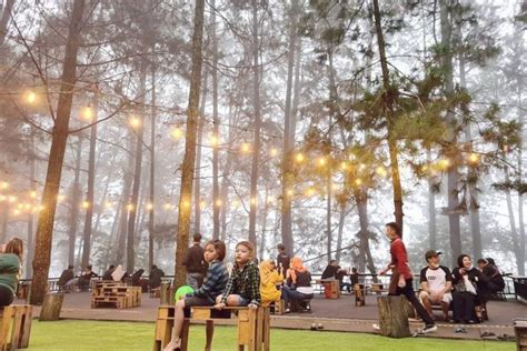 Destinasi Wisata Malam Bogor Paling Indah Dan Sejuk Bikin Momen