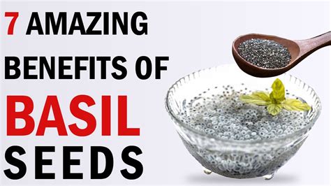 7 Amazing Benefits Of Basil Seeds Is Basil Seed Good For Weight Loss