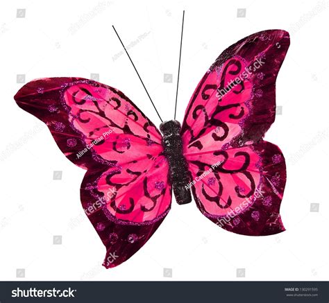 Beautiful Pink Pretty Butterfly Insect Isolated On White Background