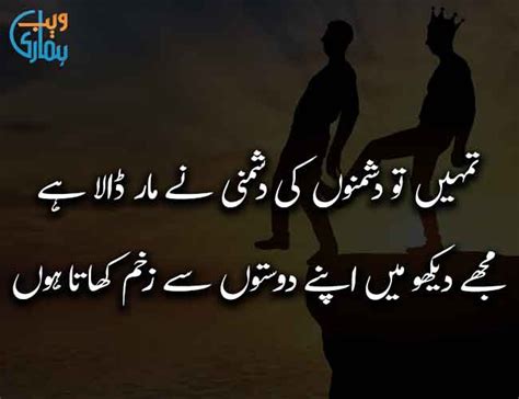 Sad Urdu Dosti Shayari N