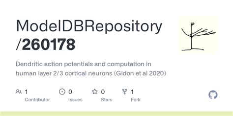 GitHub ModelDBRepository 260178 Dendritic Action Potentials And