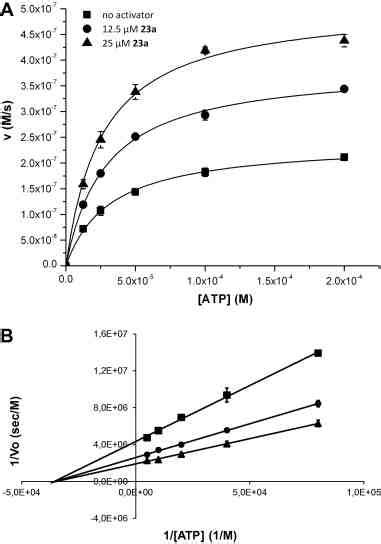 Steady State Kinetic Characterization Of The Linoleic Acid Conversion