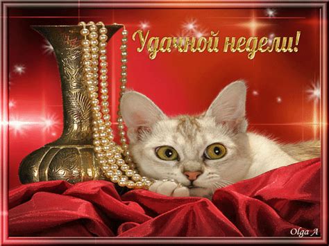 Анимированная открытка Удачной недели