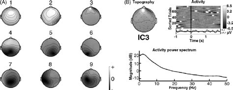 Visualizing Independent Components A Topographical 2 D Scalp Maps Of